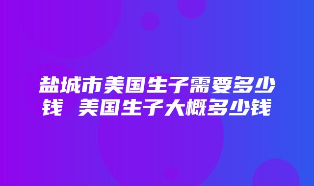 盐城市美国生子需要多少钱 美国生子大概多少钱