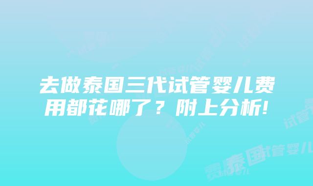 去做泰国三代试管婴儿费用都花哪了？附上分析!