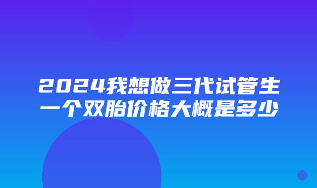 2024我想做三代试管生一个双胎价格大概是多少