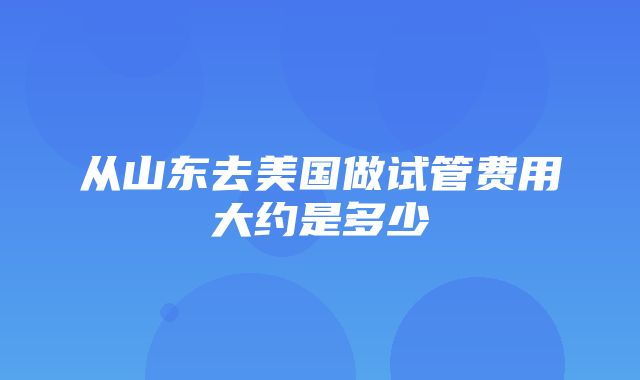 从山东去美国做试管费用大约是多少