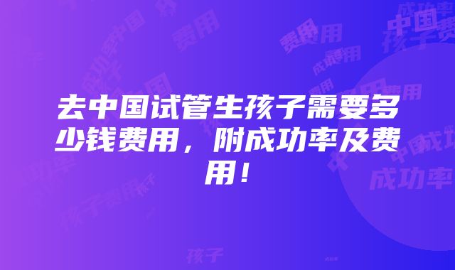 去中国试管生孩子需要多少钱费用，附成功率及费用！