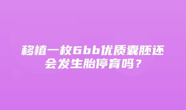 移植一枚6bb优质囊胚还会发生胎停育吗？