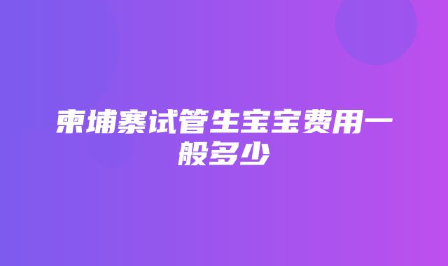 柬埔寨试管生宝宝费用一般多少