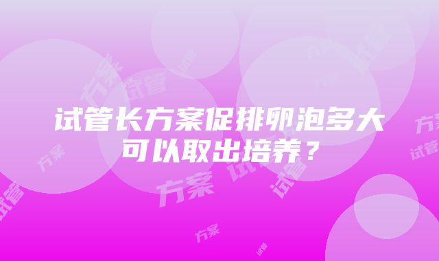 试管长方案促排卵泡多大可以取出培养？