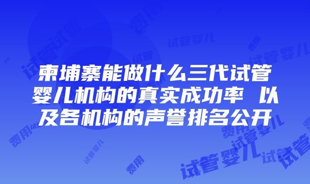 柬埔寨能做什么三代试管婴儿机构的真实成功率 以及各机构的声誉排名公开