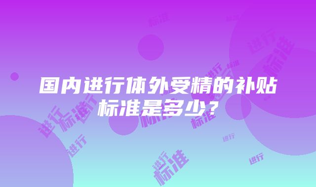 国内进行体外受精的补贴标准是多少？