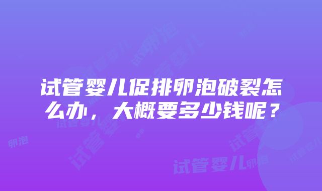 试管婴儿促排卵泡破裂怎么办，大概要多少钱呢？