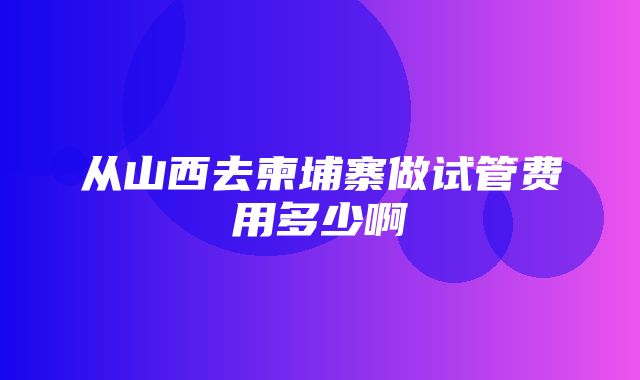 从山西去柬埔寨做试管费用多少啊