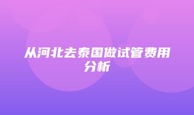 从河北去泰国做试管费用分析