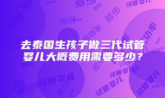 去泰国生孩子做三代试管婴儿大概费用需要多少？