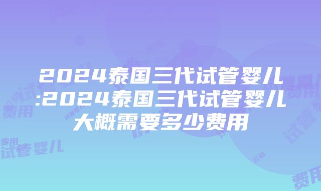 2024泰国三代试管婴儿:2024泰国三代试管婴儿大概需要多少费用