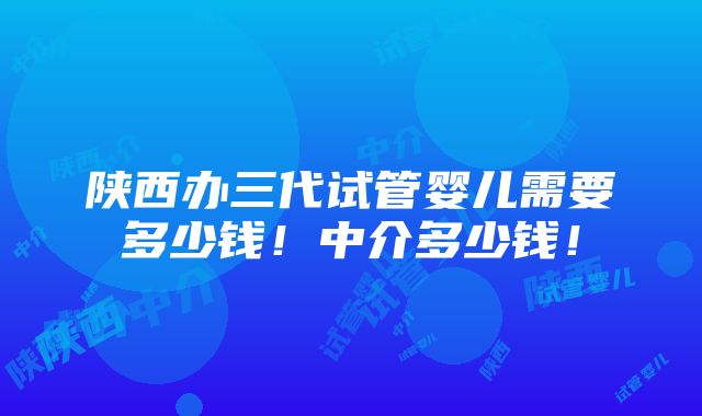 陕西办三代试管婴儿需要多少钱！中介多少钱！