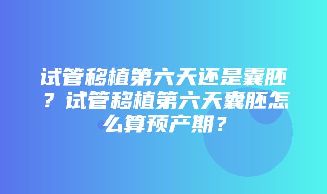 试管移植第六天还是囊胚？试管移植第六天囊胚怎么算预产期？