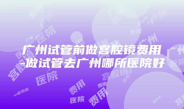 广州试管前做宫腔镜费用-做试管去广州哪所医院好