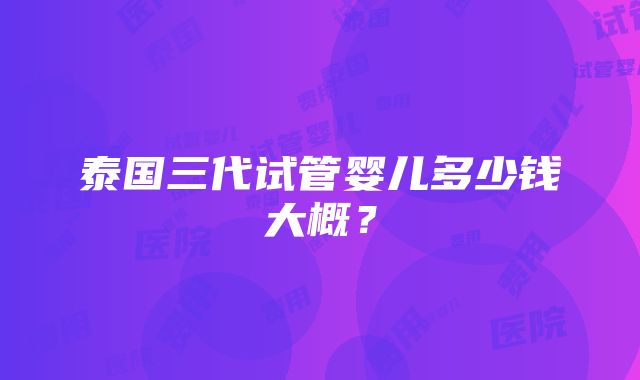 泰国三代试管婴儿多少钱大概？