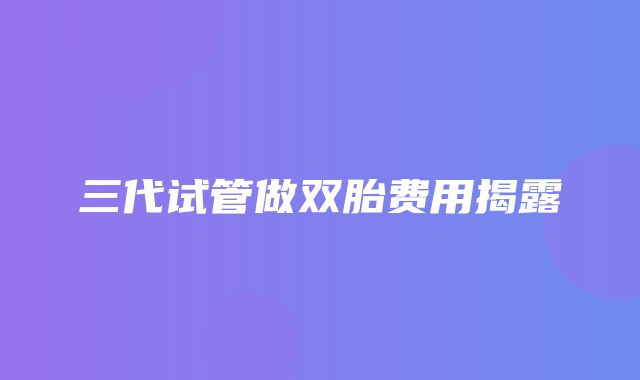 三代试管做双胎费用揭露