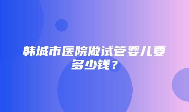 韩城市医院做试管婴儿要多少钱？