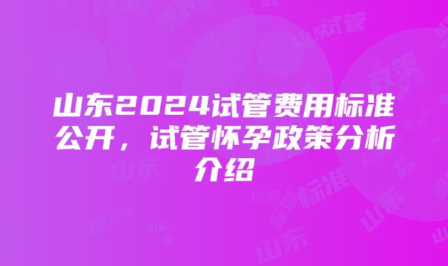 山东2024试管费用标准公开，试管怀孕政策分析介绍