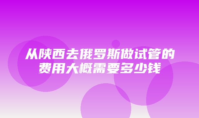 从陕西去俄罗斯做试管的费用大概需要多少钱