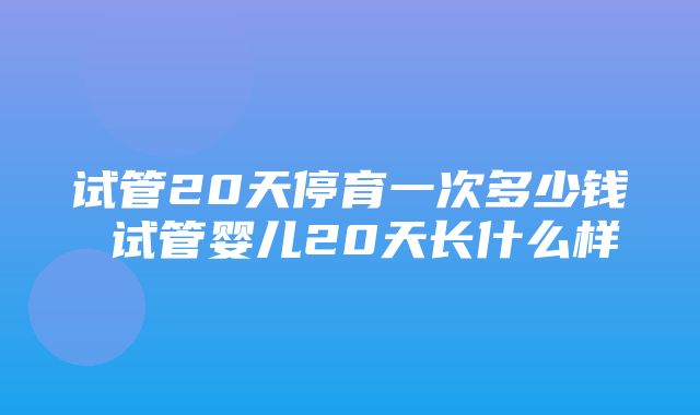 试管20天停育一次多少钱 试管婴儿20天长什么样