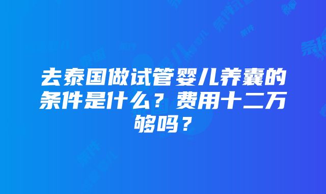 去泰国做试管婴儿养囊的条件是什么？费用十二万够吗？