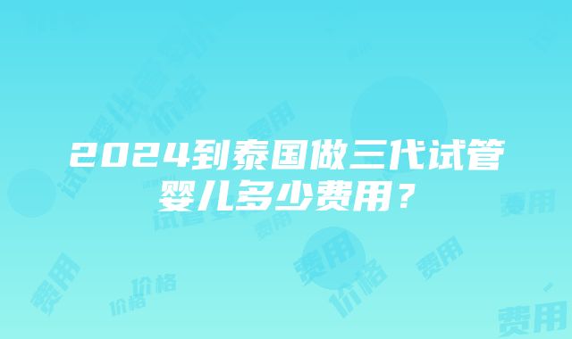 2024到泰国做三代试管婴儿多少费用？