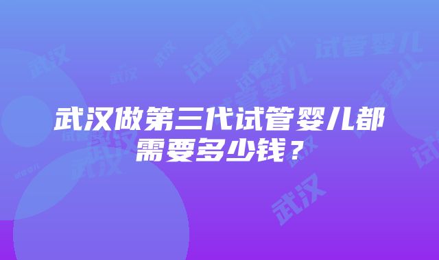 武汉做第三代试管婴儿都需要多少钱？