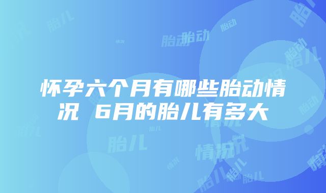 怀孕六个月有哪些胎动情况 6月的胎儿有多大