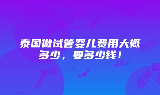 泰国做试管婴儿费用大概多少，要多少钱！