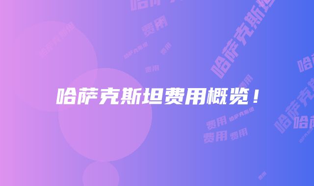 哈萨克斯坦费用概览！