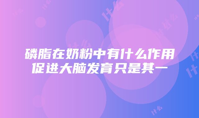 磷脂在奶粉中有什么作用促进大脑发育只是其一