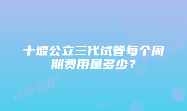 十堰公立三代试管每个周期费用是多少？