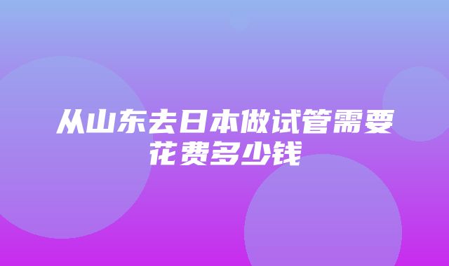 从山东去日本做试管需要花费多少钱