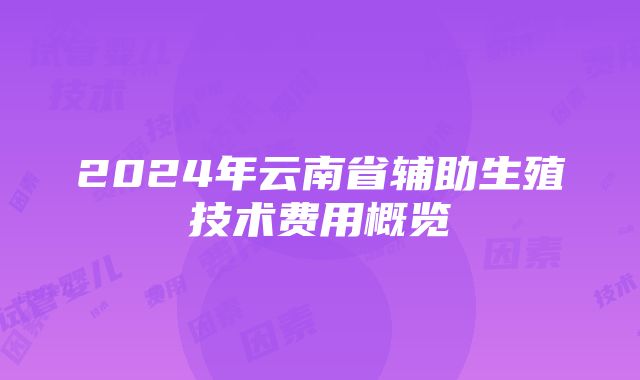 2024年云南省辅助生殖技术费用概览