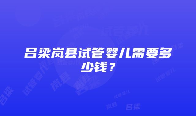 吕梁岚县试管婴儿需要多少钱？