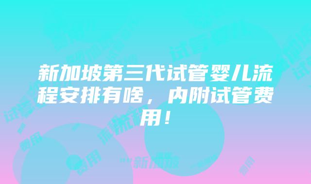 新加坡第三代试管婴儿流程安排有啥，内附试管费用！