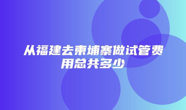 从福建去柬埔寨做试管费用总共多少