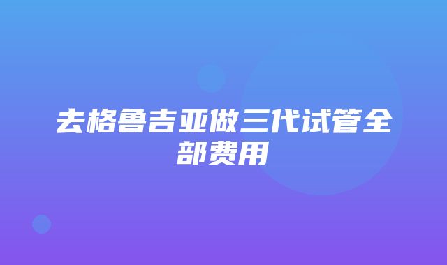 去格鲁吉亚做三代试管全部费用