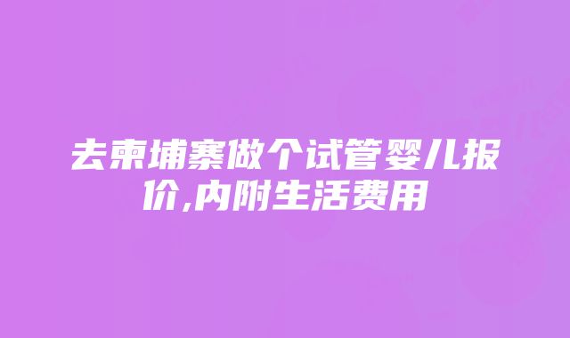 去柬埔寨做个试管婴儿报价,内附生活费用