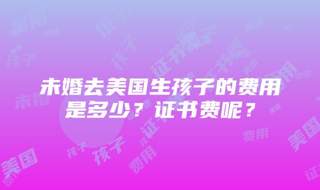 未婚去美国生孩子的费用是多少？证书费呢？