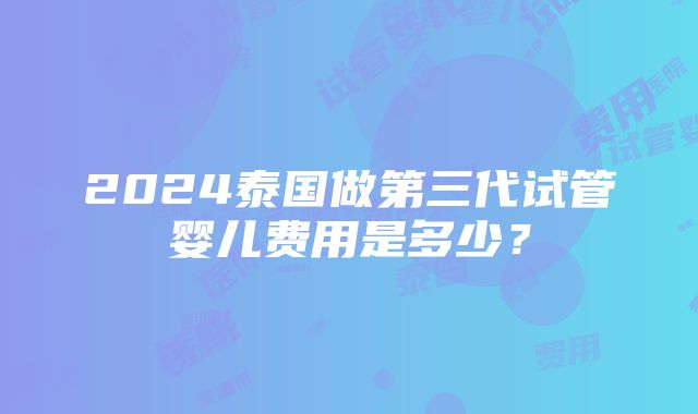 2024泰国做第三代试管婴儿费用是多少？