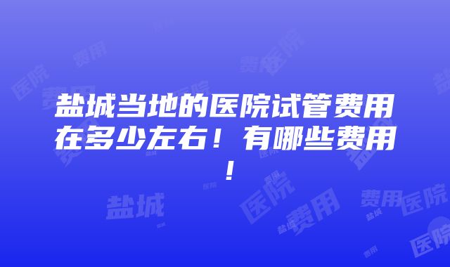 盐城当地的医院试管费用在多少左右！有哪些费用！