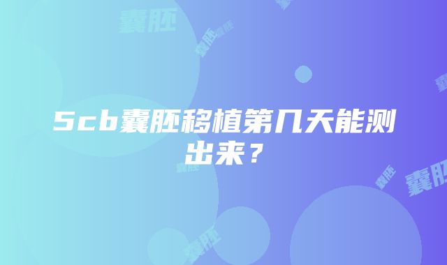 5cb囊胚移植第几天能测出来？