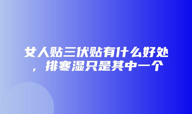 女人贴三伏贴有什么好处，排寒湿只是其中一个