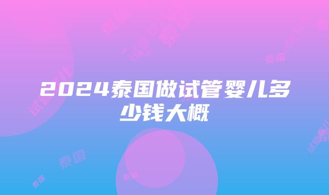 2024泰国做试管婴儿多少钱大概