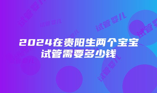 2024在贵阳生两个宝宝试管需要多少钱