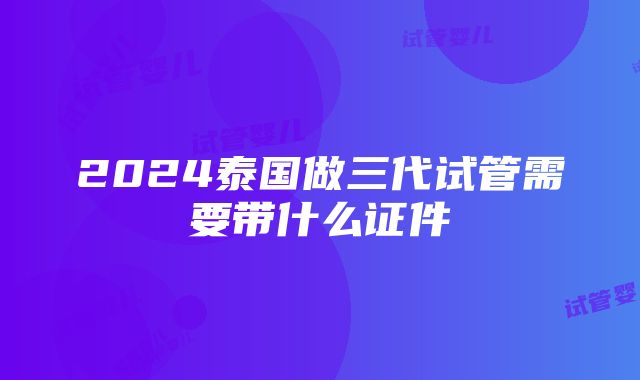 2024泰国做三代试管需要带什么证件