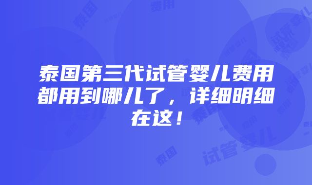 泰国第三代试管婴儿费用都用到哪儿了，详细明细在这！