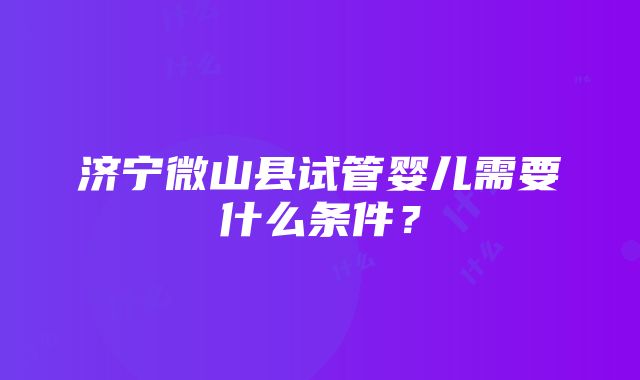 济宁微山县试管婴儿需要什么条件？