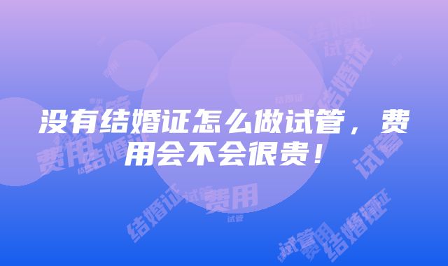 没有结婚证怎么做试管，费用会不会很贵！